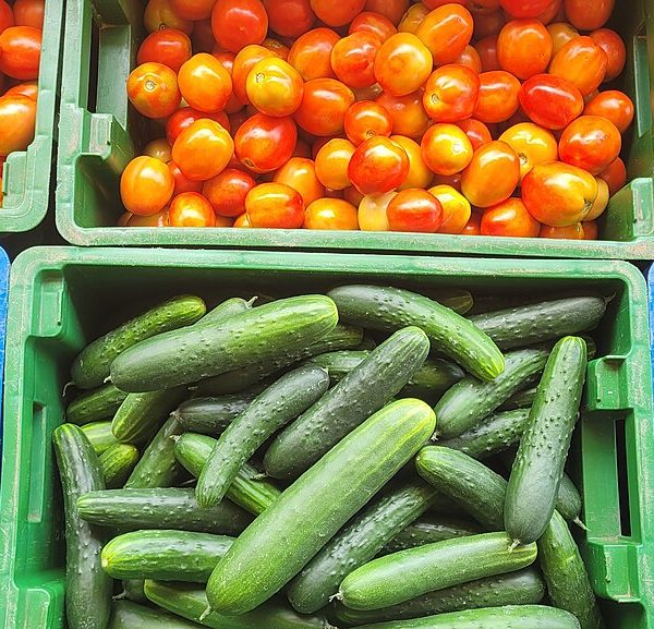 Aubergines