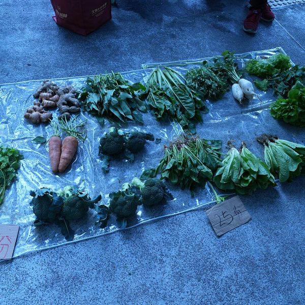 Carottes