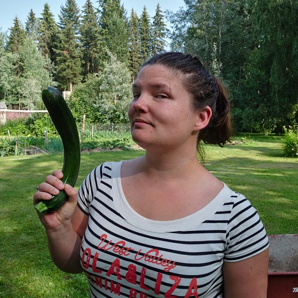 Courgettes