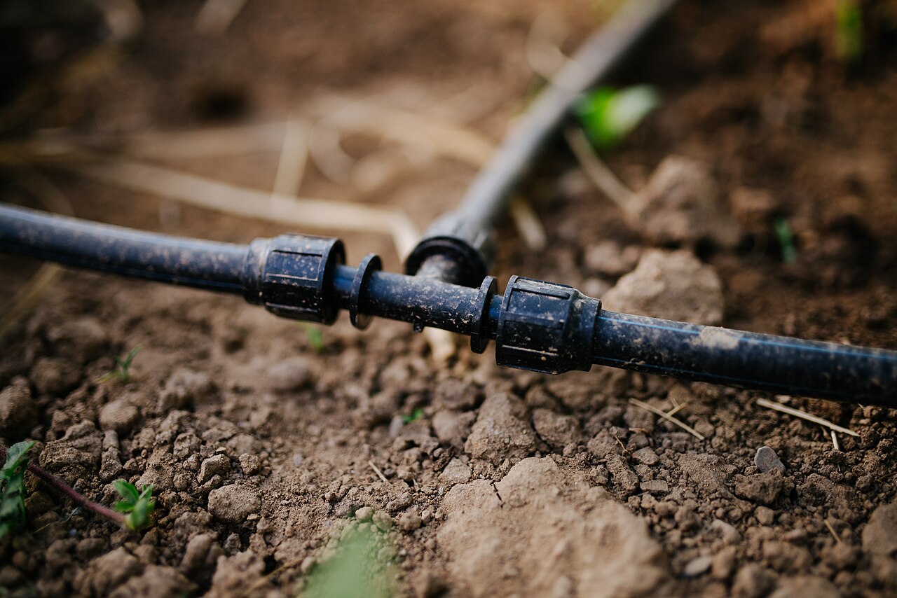 Irrigation goutte-à-goutte