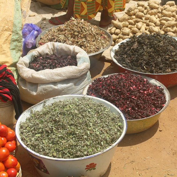Tisane à l'épazote
